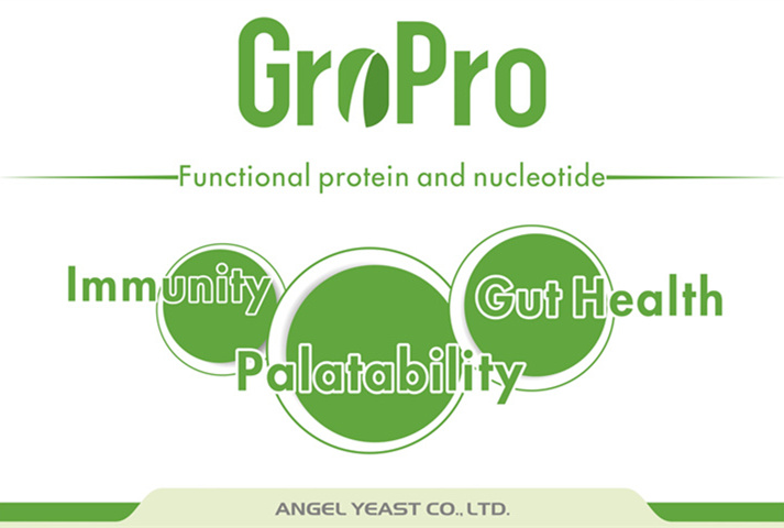 云顶集团4008(中国)官方网站