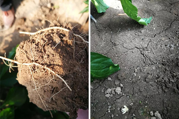 云顶集团4008(中国)官方网站