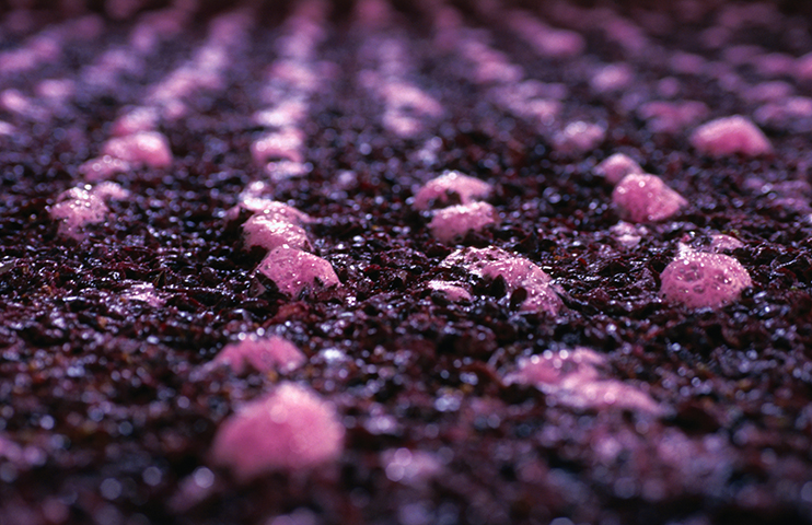 云顶集团4008(中国)官方网站