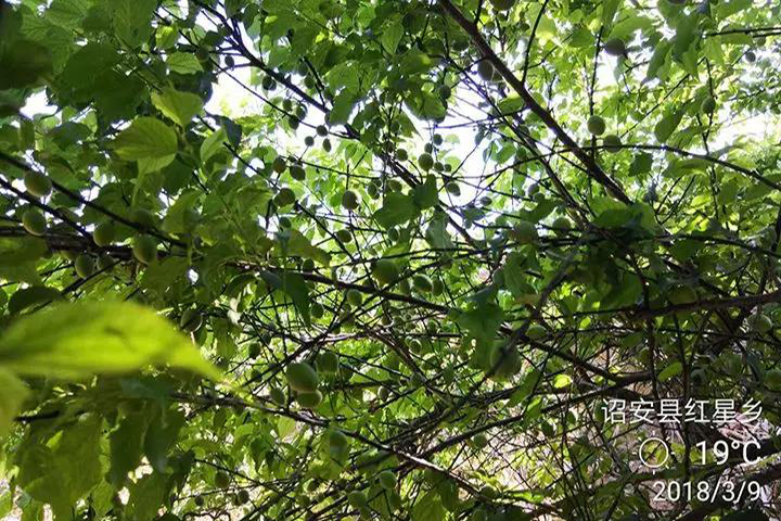 云顶集团4008(中国)官方网站