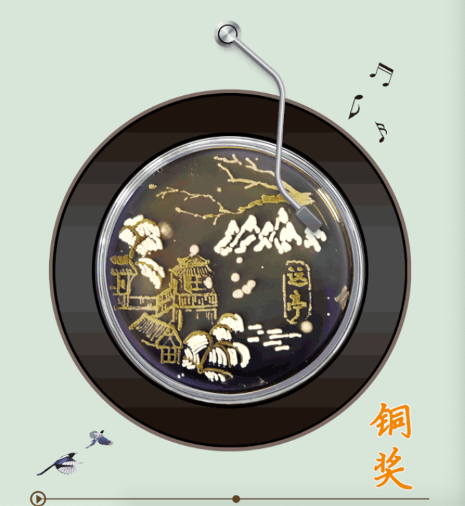 云顶集团4008(中国)官方网站