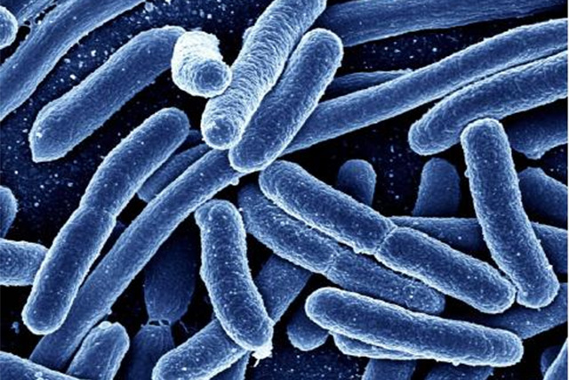 云顶集团4008(中国)官方网站