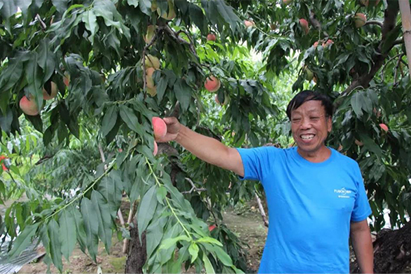 云顶集团4008(中国)官方网站