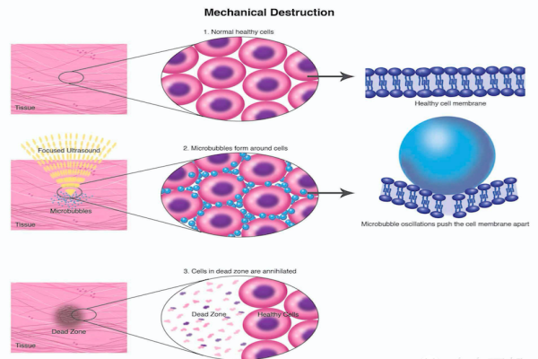 云顶集团4008(中国)官方网站