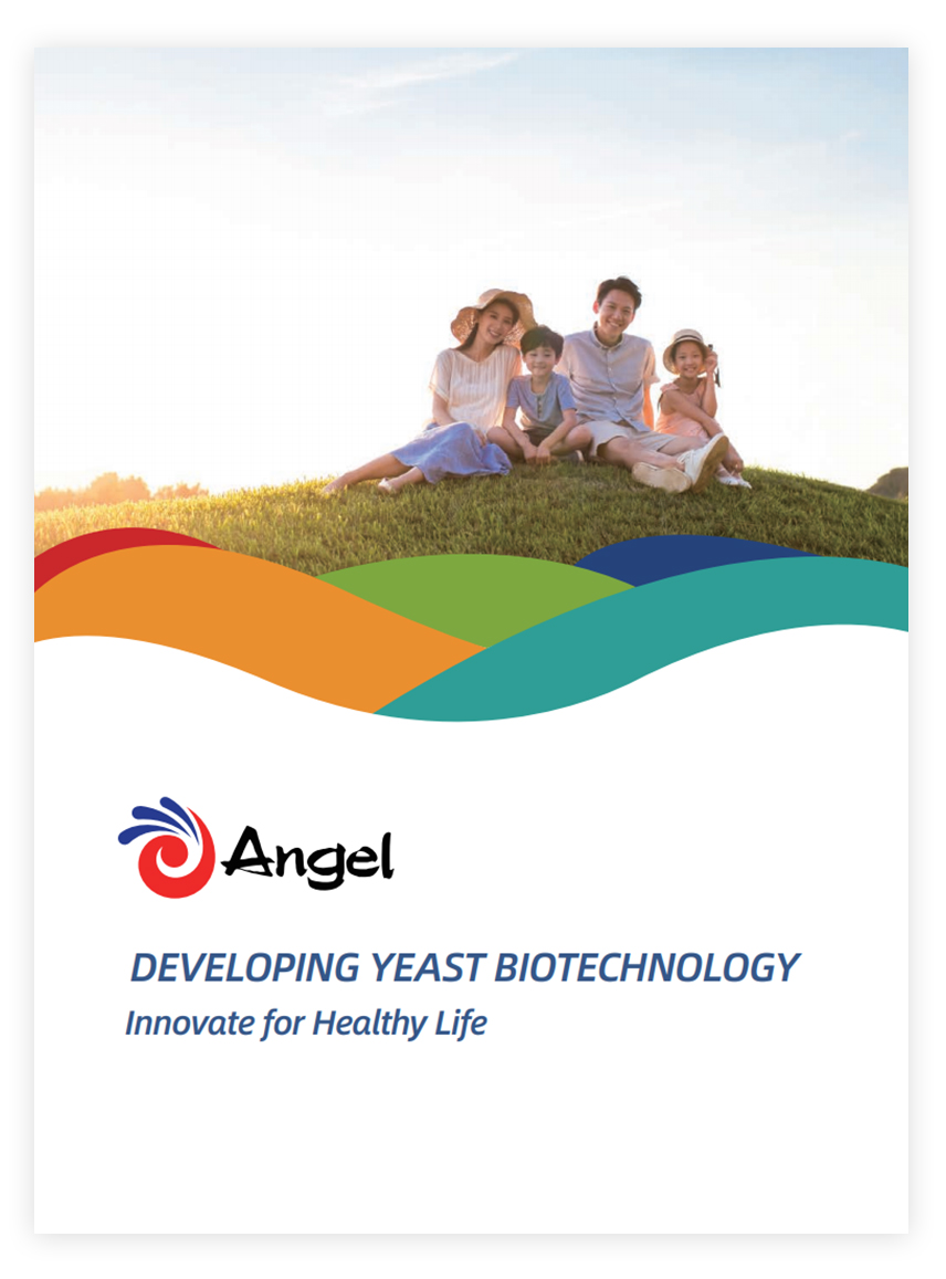 Profil von Angel Hefe