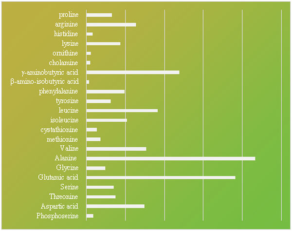 云顶集团4008(中国)官方网站