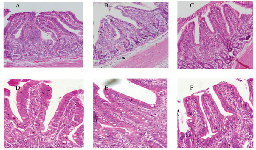 云顶集团4008(中国)官方网站
