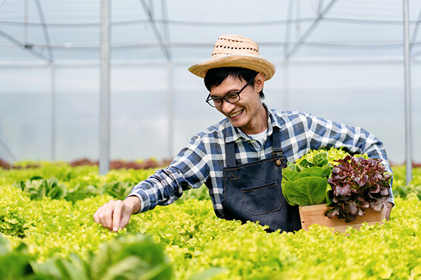 Elevating Agriculture: The Power of Compound Biostimulants