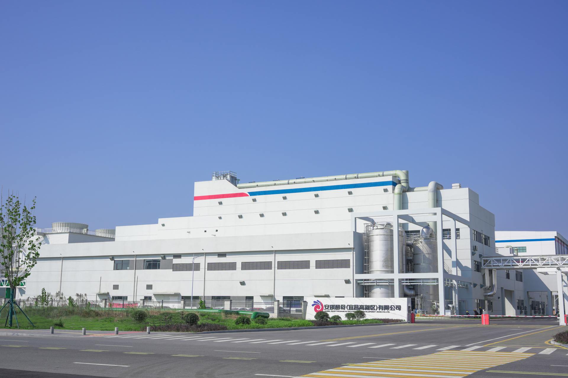 Angel Yeast’s 8,500-Ton Specialty Yeast Facility Comes Online, Powering a New Engine for Global Biomanufacturing