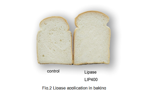 云顶集团4008(中国)官方网站