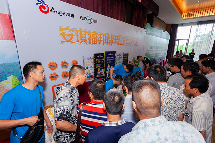 云顶集团4008(中国)官方网站