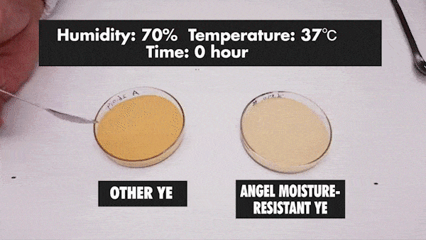 part1 update-min.gif