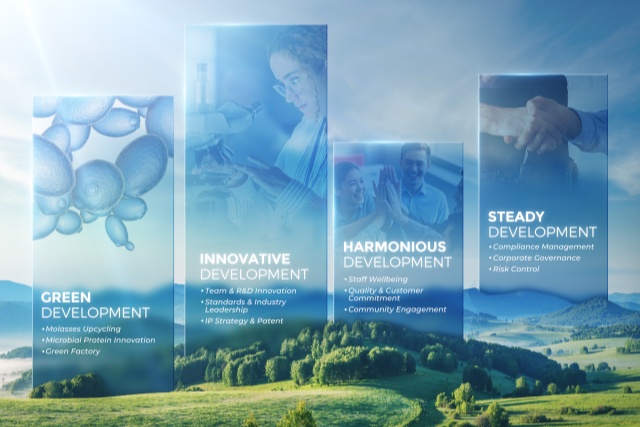 Angel Yeast Unveils 2024 Sustainability Report, Showcasing Commitment to Green Practices and Innovation