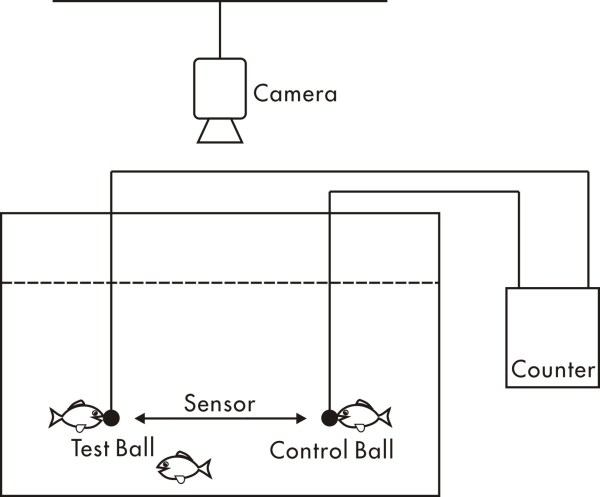云顶集团4008(中国)官方网站