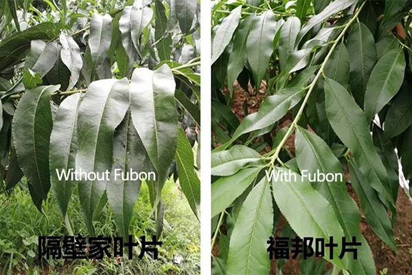 云顶集团4008(中国)官方网站