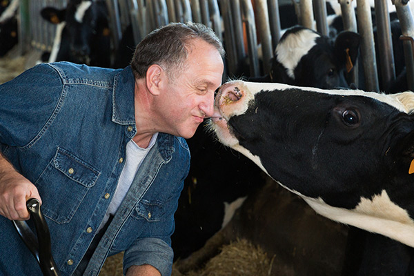 Enhancing Dairy Cow Nutrition: Exploring the Benefits of Yeast Hydrolysate GroPro