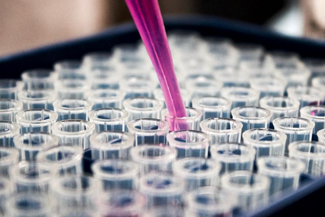 云顶集团4008(中国)官方网站