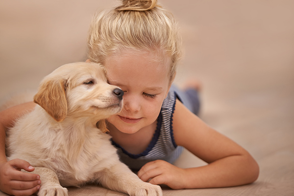 Application?of?Inactive?Yeast?in?Pet?Food