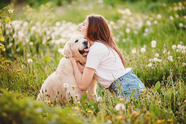 Application of Yeast β-Glucan for Pets