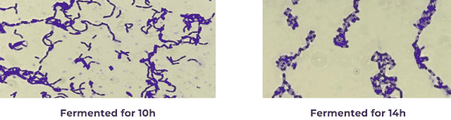 云顶集团4008(中国)官方网站