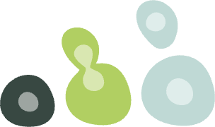 云顶集团4008(中国)官方网站