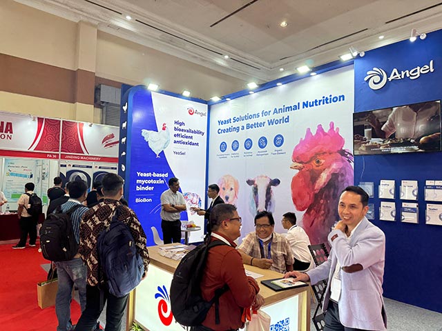 云顶集团4008(中国)官方网站