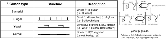 云顶集团4008(中国)官方网站