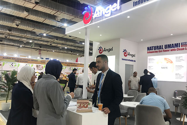 Fi-Africa, angel booth