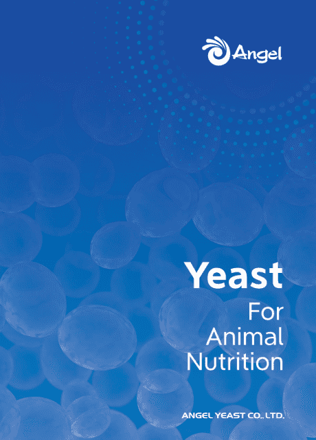 Solusi Ragi Halal untuk Nutrisi Hewan