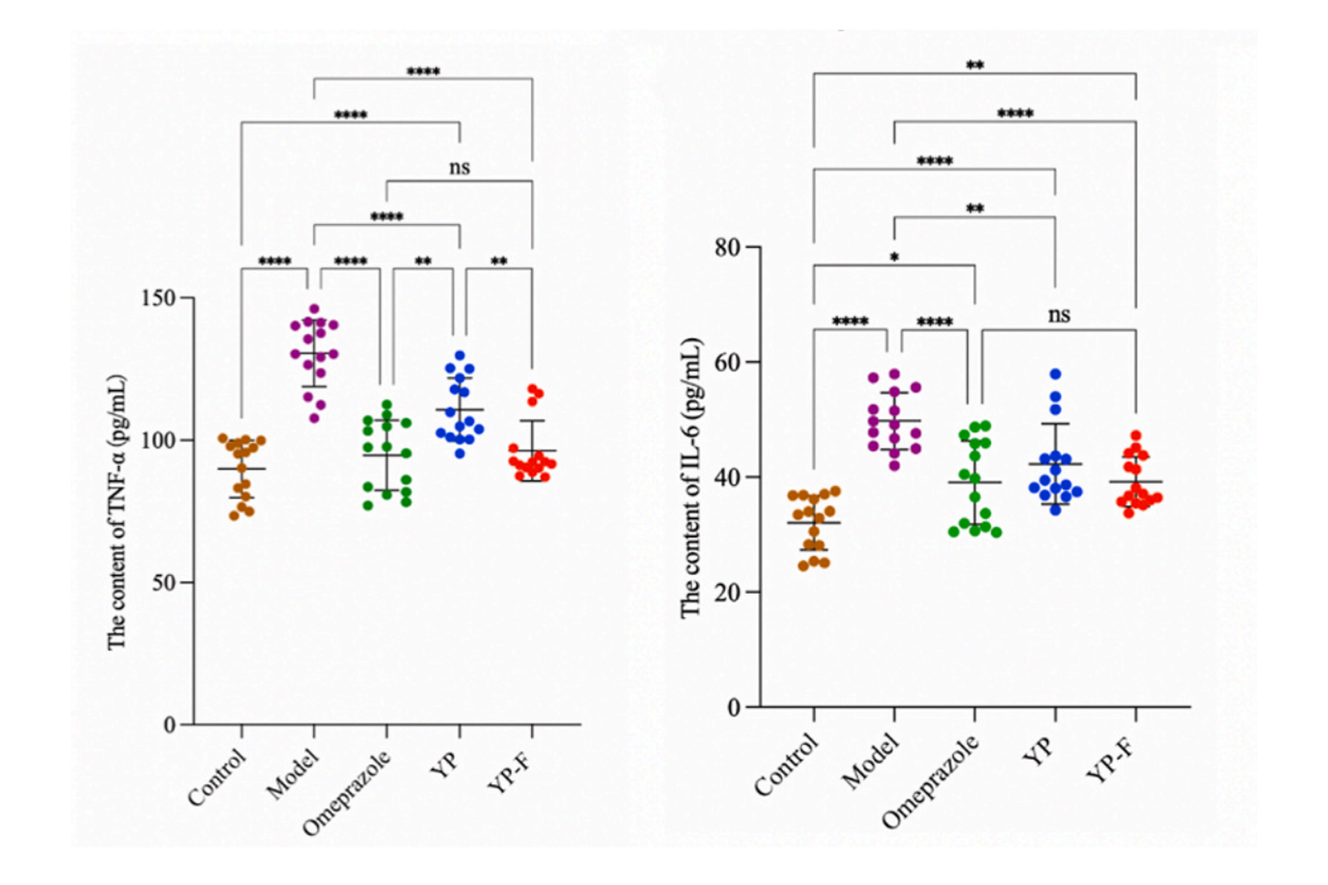 rats-treated-with-YP-F-had over-25%-lower-inflammation-levels-in-their-gastric-mucosa compared-to-the-untreated-group.jpg