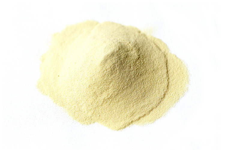 The technical solution of using Angel yeast extract FM902 to replace brewer’s yeast extract