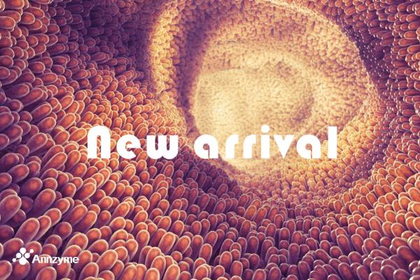 Application of Enzyme in Yeast Polysaccharide Deep Processing