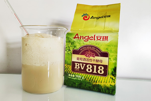 How to inoculate active dry wine yeast into grape juice/must: reactivation or direct inoculation?