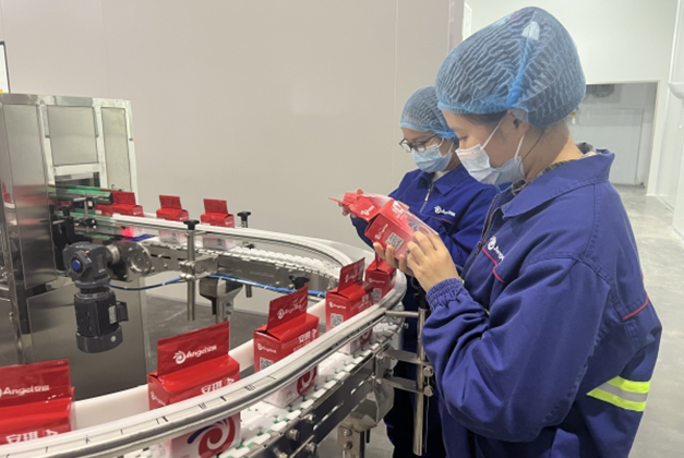 云顶集团4008(中国)官方网站