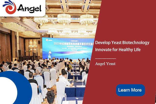 Angel Names and Attends 2023 Chinese Premade Dishes Industry Conference