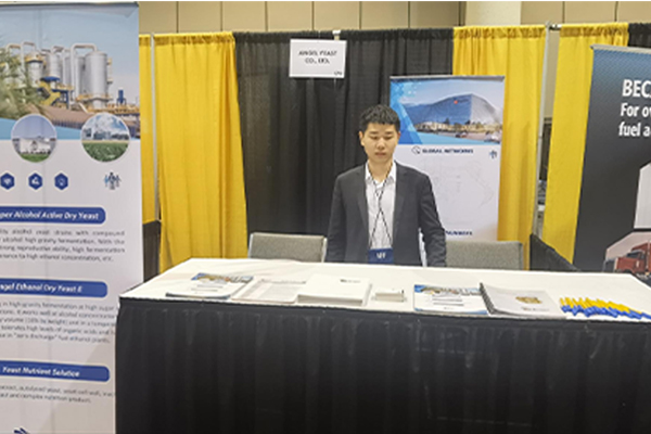 Angel Made Its Debut at FEW 2023