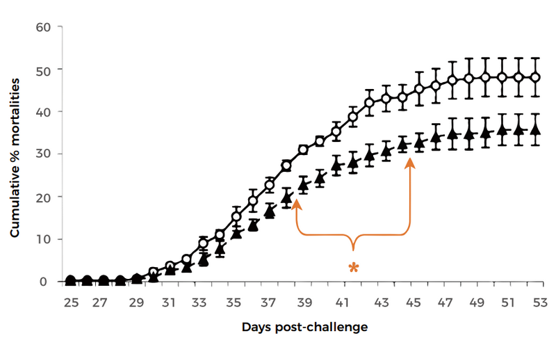 云顶集团4008(中国)官方网站
