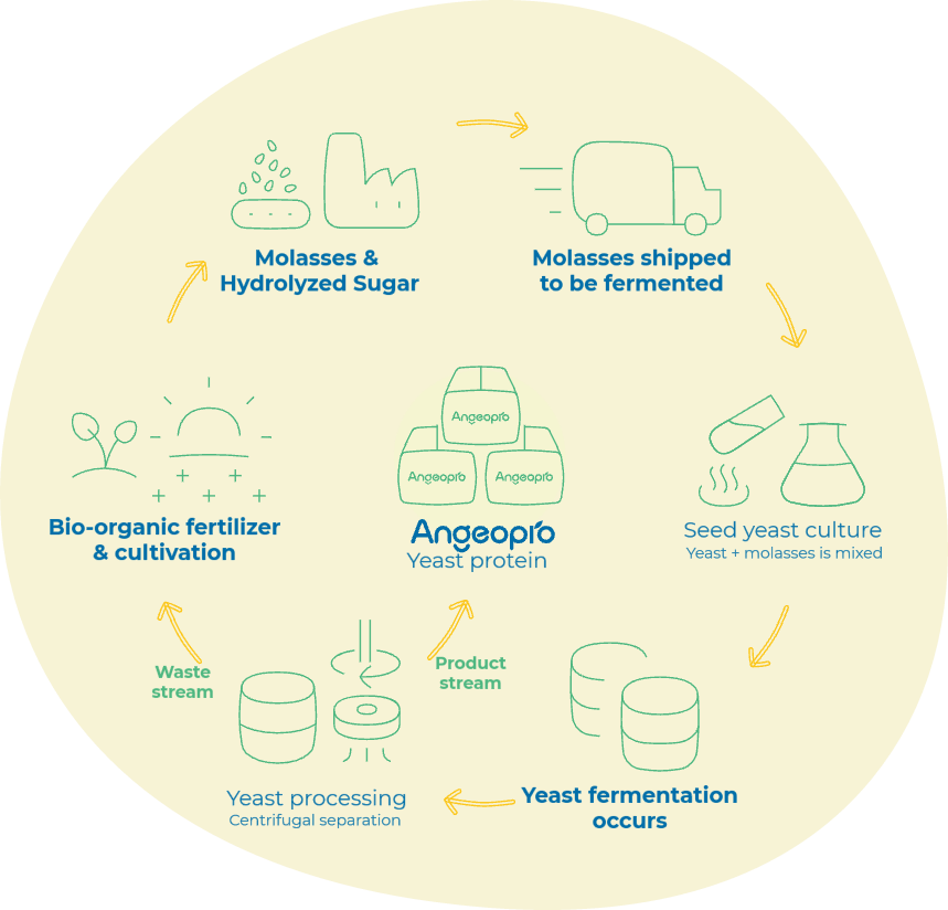 云顶集团4008(中国)官方网站