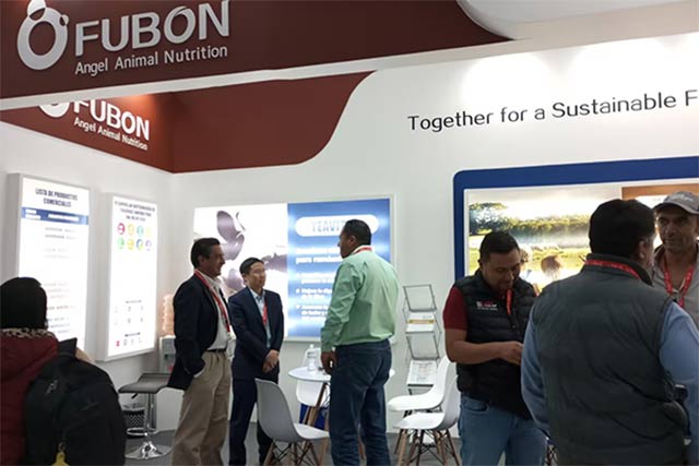 AMVEB Ruminant Expo 2023: Showcasing YeaVita R for Optimal Rumen Health