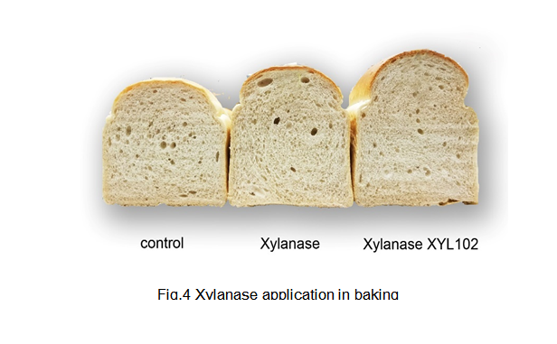 云顶集团4008(中国)官方网站
