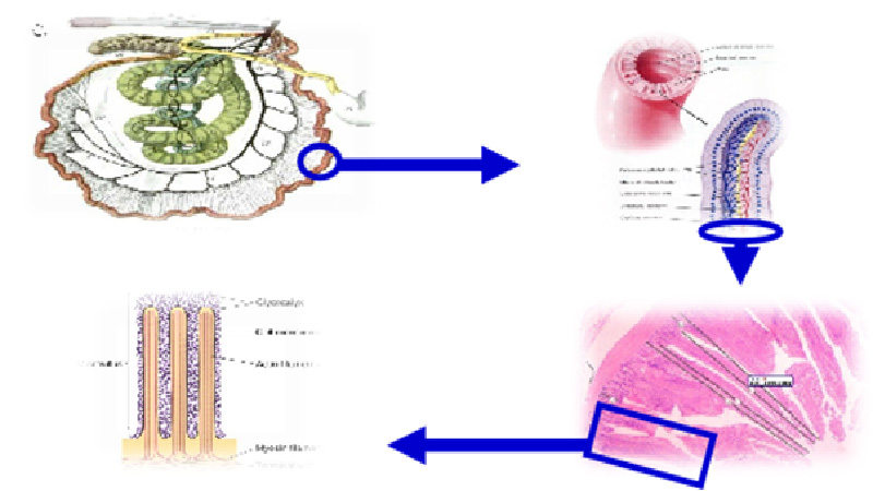 云顶集团4008(中国)官方网站