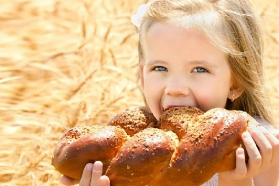 云顶集团4008(中国)官方网站