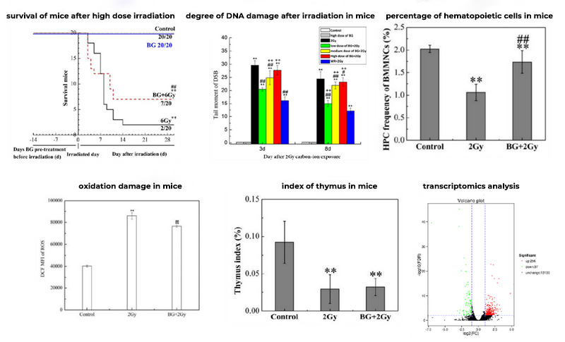 云顶集团4008(中国)官方网站