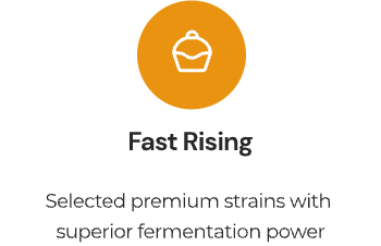 云顶集团4008(中国)官方网站