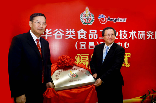 云顶集团4008(中国)官方网站