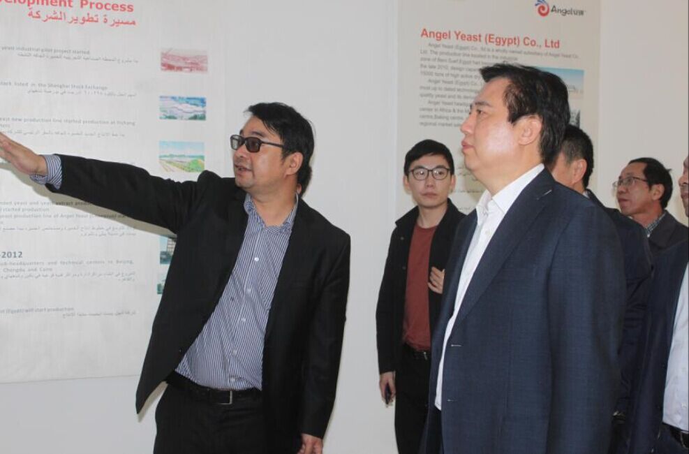 云顶集团4008(中国)官方网站