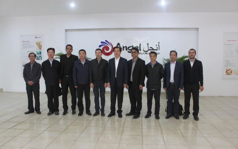 云顶集团4008(中国)官方网站