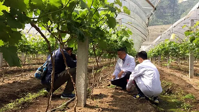 云顶集团4008(中国)官方网站