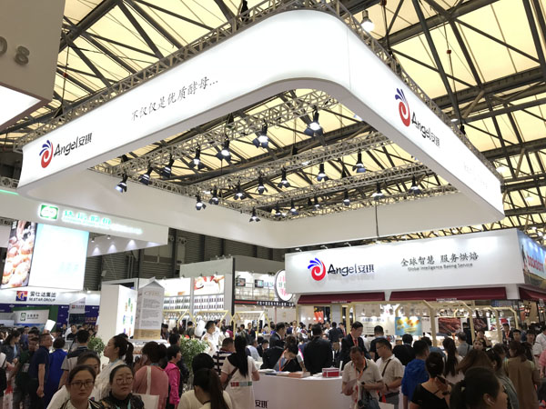 云顶集团4008(中国)官方网站