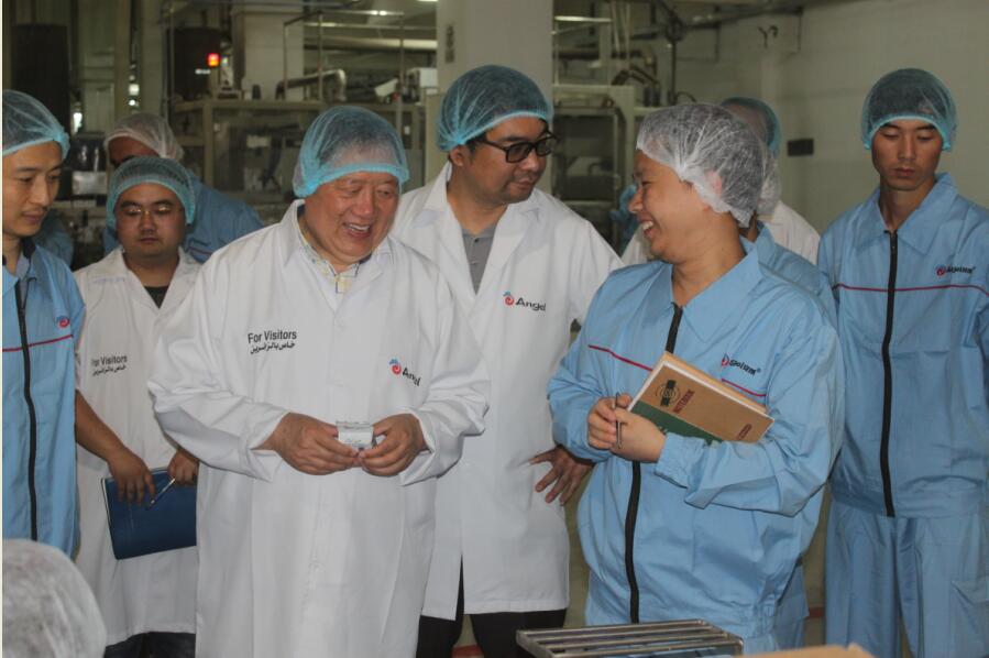 云顶集团4008(中国)官方网站